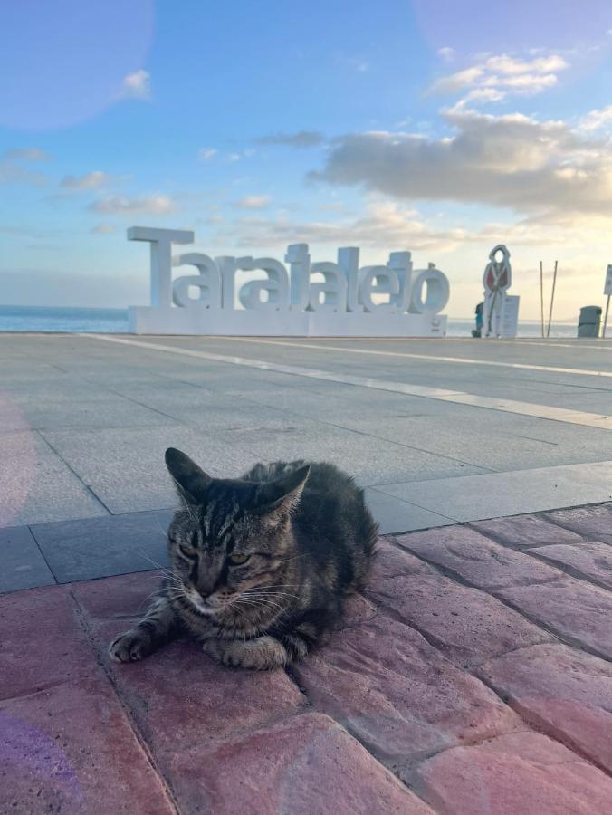 Cactus Del Mar Διαμέρισμα Tarajalejo Εξωτερικό φωτογραφία